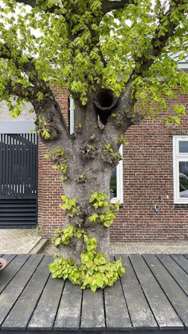 PUUR Eastermar - monumentaal, authentiek en luxe koetshuis aan open vaarwater met jacuzzi Oostermeer Buitenkant foto
